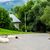 The Bucovina Sheepdogs. Great security shepherd dogs.