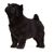 Mammal,Vertebrate,Dog,Canidae,Dog breed,Carnivore,Chow chow,Companion dog,Non-Sporting Group,Black norwegian elkhound,