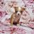 Dog,Dog breed,Carnivore,Textile,Toy,Pink,Petal,Chihuahua,Fawn,Companion dog,