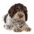 Dog,Mammal,Vertebrate,Canidae,Dog breed,Puppy,Carnivore,Cockapoo,Spanish water dog,Lagotto romagnolo,