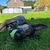 Plant, dog, sky, dog breed, working animal, carnivore, tree, grass, fawn, meadow,