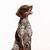 Dog,Vertebrate,Canidae,Mammal,Braque francais,German shorthaired pointer,Dog breed,Old danish pointer,Pointer,Carnivore,