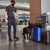 Agente de seguridad con máscara protectora revisando maletas de viaje con perro rastreador de la policía