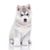Perro, mamífero, Husky siberiano, vertebrado, Canidae, raza similar al Alaskan Malamute, carnívoro, raza de perro, Husky siberiano cachorro gris blanco