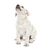 perro, mamífero, vertebrado, cánido, raza de perro, carnívoro, cachorro, grupo deportivo, hocico, leonado, cachorro de labrador retriever blanco