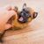Descripción de la raza Petit Brabançon, pequeño cachorro de perro sin nariz juega con una mano humana, raza de perro parecida al pug de Bélgica, raza de perro belga marrón negro, raza de perro pequeño como perro de compañía, perro de familia, el cachorro juega y abre la boca y quiere morder la mano