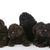 perro, canidae, raza de perro, caniche enano, cachorro, carnívoro, grupo deportivo, perro de agua, cachorros de barbet negro sobre fondo blanco