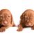 Perro, mamífero, vertebrado, raza de perro, Canidae, Vizsla, carnívoro, cachorro, grupo deportivo, raza de perro rojo, perro rojo con orejas caídas, Mini Wischla, perro Wischla, perro de caza de Hungría