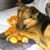 Hund,Fleischfresser,Hunderasse,Kitz,Begleithund,Schnauze,Hundezubehör,Komfort,Pfote,Sportliche Gruppe,