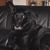 Hund,Möbel,Komfort,Fleischfresser,Grau,Hunderasse,Couch,Bücherregal,Kitz,Ohr,
