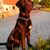 Pflanze, Hund, Blume, Hunderasse, Leber, Fleischfresser, Halsband, Arbeitstier, Kitz, Himmel,