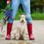 Lakeland Terrier entre botas de goma rojas