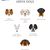 Raza canina griega, Perros pastores de Grecia, Raza canina primitiva, Infografía