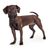 Adorable petit chien noir croisé beagle et chihuahua, debout sur le côté et regardant vers l'avant la caméra, isolé sur un fond blanc