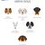 Chiens de race grecque, Chiens de berger de Grèce, Chiens de race primitive, Infographie