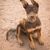 Chiot Kelpie australien assis sur le sol et ayant encore les oreilles inclinées, chien aux oreilles dressées ayant encore les oreilles à moitié dressées en tant que chiot, oreilles pas encore tout à fait dressées, chien brun pour la garde des moutons, chien de berger d'Australie, race de chien australienne