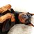 Canidae, chien, race de chien, Doberman à oreilles décollées, museau, race similaire au Pinscher, carnivore, chien de garde, chien similaire au Rottweiler, patte,