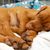 chien, Canidae, race de chien, chiot, chiot Magyar Vizsla dort, petit chien roux aux oreilles tombantes, combien de temps les chiots dorment-ils ?