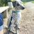 Hund,Pflanze,Halsband,Fleischfresser,Hunderasse,Hundehalsband,Arbeitstier,Baum,Begleithund,Schwanz,