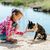 Chien, Canidae, Race du chien, Amusement, Carnivore, Vacances, Jouer, Race similaire Bouledogue français, Groupe non sportif, Promenade du chien, Bonston Terrier s'assied sur le sol avec une fille et apprend le High Five et le Paw Trick