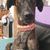 Hund,Hunderasse,Halsband,Fleischfresser,Tierbedarf,Leber,Arbeitstier,Kitz,Begleithund,Hundehalsband,