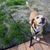 barna fehér kutya fajta nevű Drever, Svédországból, áll egy réten, és néz a kamerába, borz barna fehér, kutya lógó fülű, kis kutya fajta, közepes kutya fajta, kutya Svédországból, vadászkutya, barna farok fehér hegyével, kutya hasonló beagle