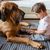 Kutya, Emlős, Gerinces, Canidae, Kutya fajta, Óriáskutya fajta, Tosa, Angol masztiffhoz hasonló fajta, húsevő, Boerboelhez hasonló kutya, Fila Brasileiro ül egy Down-szindrómás gyermek mellett