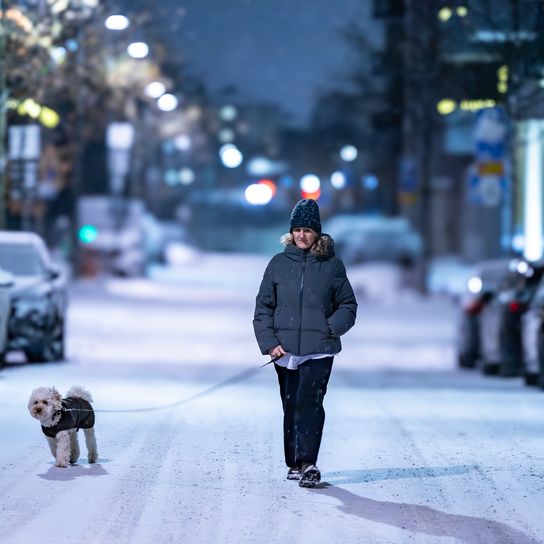 Stockholm, Schweden, Eine Frau geht in der Winternacht mit einem Bichpoo-Hund an der Leine über die verschneite Straße.