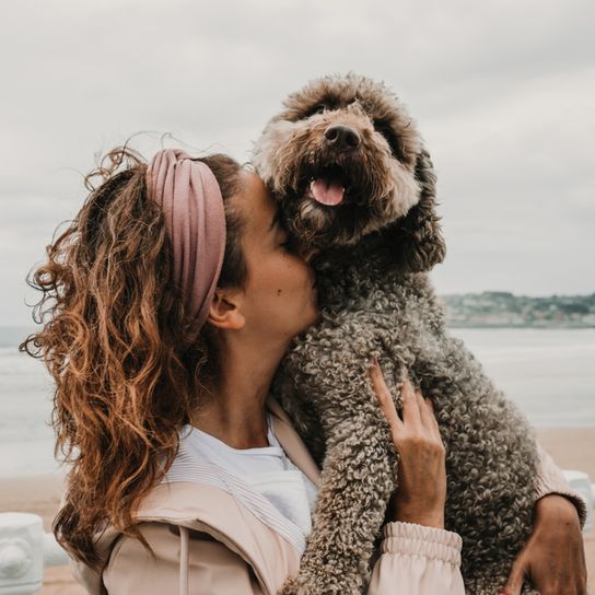 perro de agua español abraza a su dueña en el brazo jadeando y riendo, en el fondo se ve el mar, perro marrón con rizos, raza de perro español