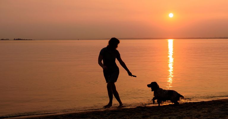 Mit dem Hund bei Sonnenuntergang am Strand entlang gehen