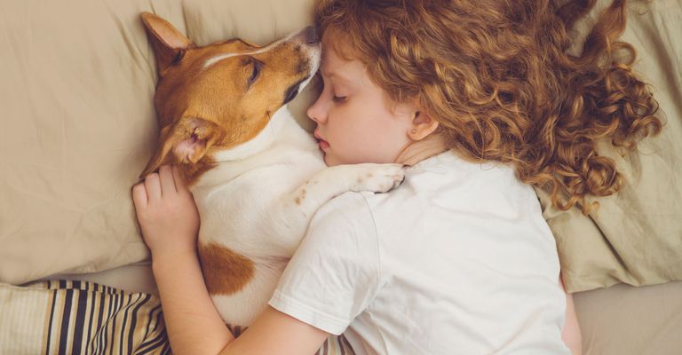 Haar, Katze, Haut, Nase, Ohr, Felidae, Wange, Interaktion, Umarmung, Kind, Frau mit roten Haaren schläft im Bett mit ihrem Hund, Terrier schläft mit im Bett, sollen Hunde im Bett schlafen