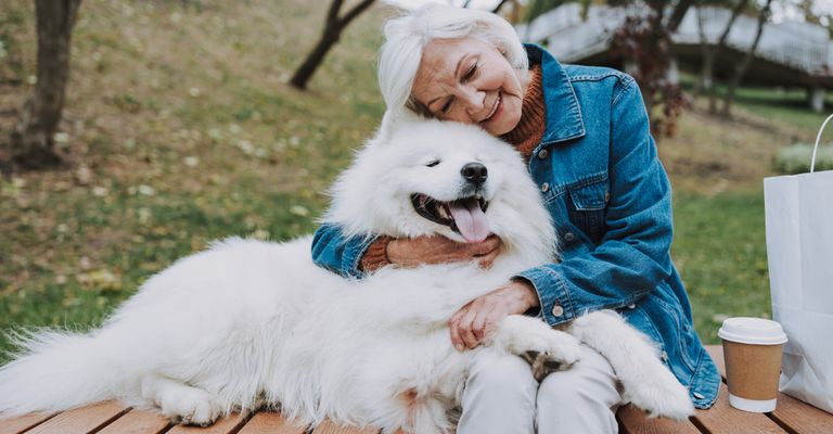 Hund,Lächeln,Pflanze,Hunderasse,Fleischfresser,Glücklich,Baum,Begleithund,Shetland-Schäferhund,Spitz,Gassitasche, Tasche für Spazierengehen mit dem Hund, alte Frau kuschelt mit einem weißen großen Hund der hechelt, Frau und Hund, Team