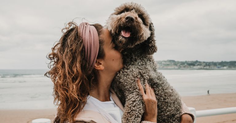 spanischer Wasserhund kuschelt seine Besitzerin am Arm und hechelt und lacht, im Hintergrund sieht man das Meer, brauner Hund mit Locken, Spanische Hunderasse