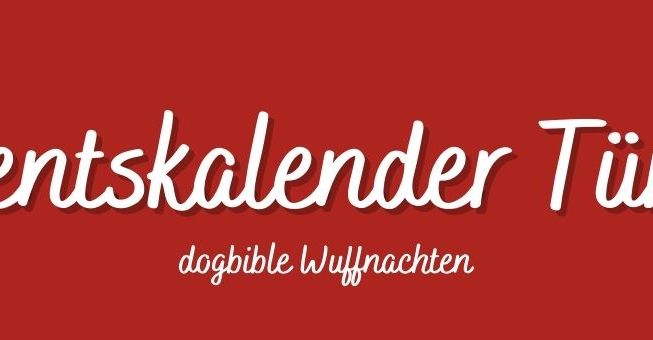 Schriftart,Magenta,Beschilderung,Werbung,Veranstaltung,Rechteck,Poster,Marke,Banner,Himmel,