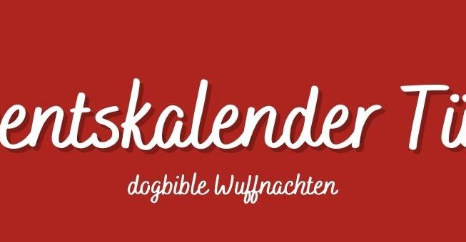 Tür 6 Adventskalender für Hunde Schriftart,Rechteck,Magenta,Werbung,Event,Himmel,Beschilderung,Banner,Marke,Grafik,