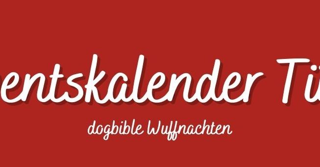 Tür 7 Adventskalender für Hunde Schriftart,Rechteck,Magenta,Werbung,Event,Beschilderung,Banner,Marke,Grafik,Himmel,