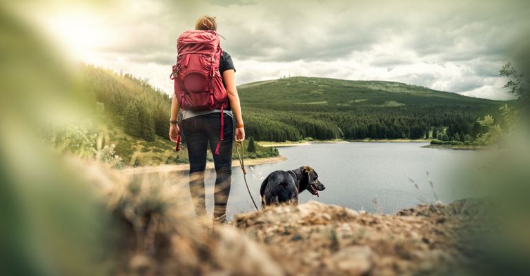 Menschen in der Natur, Abenteuer, Hundewandern, Wildnis, Canidae, Hund, Wandern, Wandern, Erholung, Hundespaziergang, Wandern mit Hund, Camping mit Hund, Wanderungen in der Wildniss