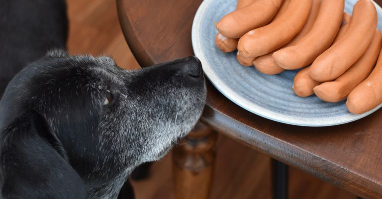 A large black dog stands next to the table with sausages on a plate