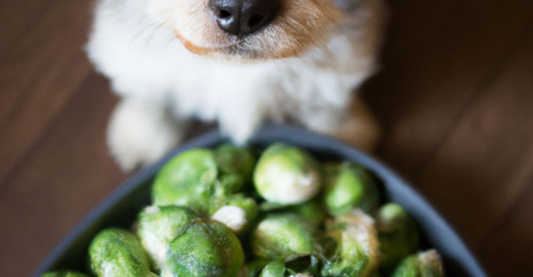 Food,dog,dog breed,carnivore,ingredient,recipe,fawn,companion dog,whiskers,brussels sprouts,