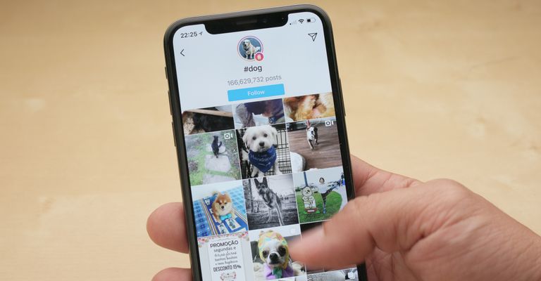 Hashtag dog on instagram, background