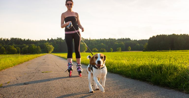 Roller skating with a dog, inline skating with a dog on a leash