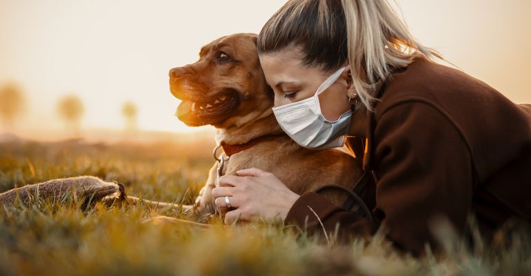 perro con dueño de corona, dueño de perro lleva mascara de corona, tiempo de corona con perro, caminando en corona, covid19 y perro, perro sars2