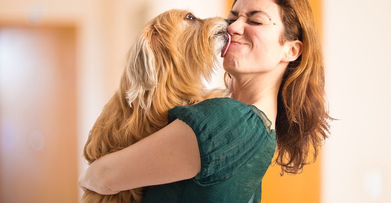 perro besando a su dueña, perro lamiendo a su dueña en la cara, perro saltando, sosteniendo a un perro