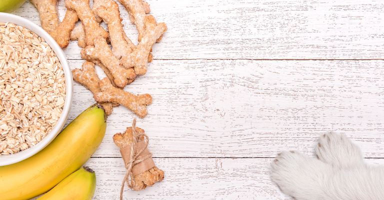 Des biscuits faits maison pour les chiens.