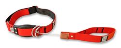 WowWow Professional Hundehalsband mit Leine - rot - Größe S 33-37 cm, 185g leicht, innovatives Halsband mit integrierter Leine - bekannt aus der Höhle der Löwen