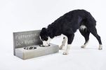 Splittprofi Futterstation Hundenapf Fressnapf Futterbar 2 Näpfen aus Edelstahl mit individueller Gravur! (Inhalt 750ml)