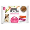 PURINA BENEFUL Schleckermäulchen Hundefutter nass in Sauce, mit Truthahn & Lamm, 10er Pack (10 x 4 Beutel à 100g)