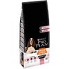 PURINA PRO PLAN Medium & Large Adult 7+ Hundefutter trocken mit OPTIDERMA, reich an Lachs, 1er Pack (1 x 14kg)