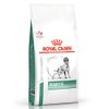 Royal Canin Diabetic Trockenfutter für Hunde - Bei Diabetes mellitus 12 kg