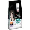 PURINA PRO PLAN Medium & Large Adult Hundefutter trocken mit OPTIDIGEST, reich an Truthahn, 1er Pack (1 x 12kg)